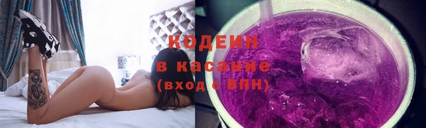 ГАЛЛЮЦИНОГЕННЫЕ ГРИБЫ Вяземский