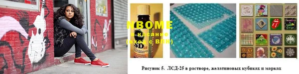 ГАЛЛЮЦИНОГЕННЫЕ ГРИБЫ Вяземский