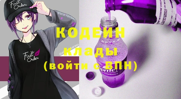 ГАЛЛЮЦИНОГЕННЫЕ ГРИБЫ Вяземский