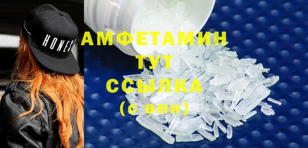 ГАЛЛЮЦИНОГЕННЫЕ ГРИБЫ Вяземский