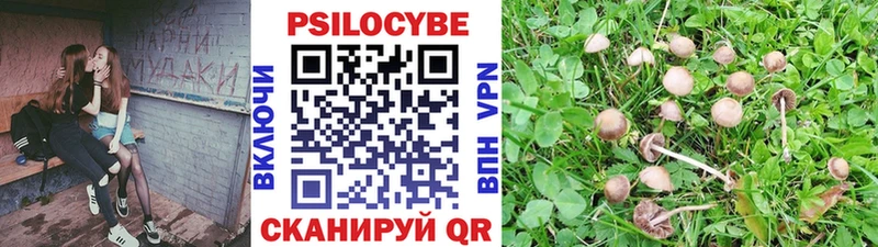 купить наркотик  Новый Уренгой  Псилоцибиновые грибы MAGIC MUSHROOMS 